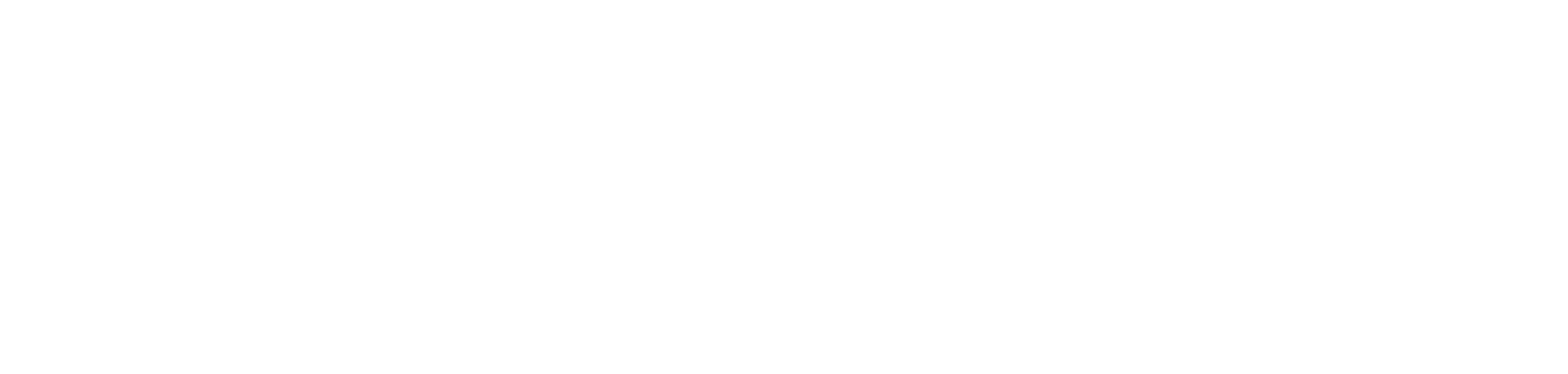 ELEVO
